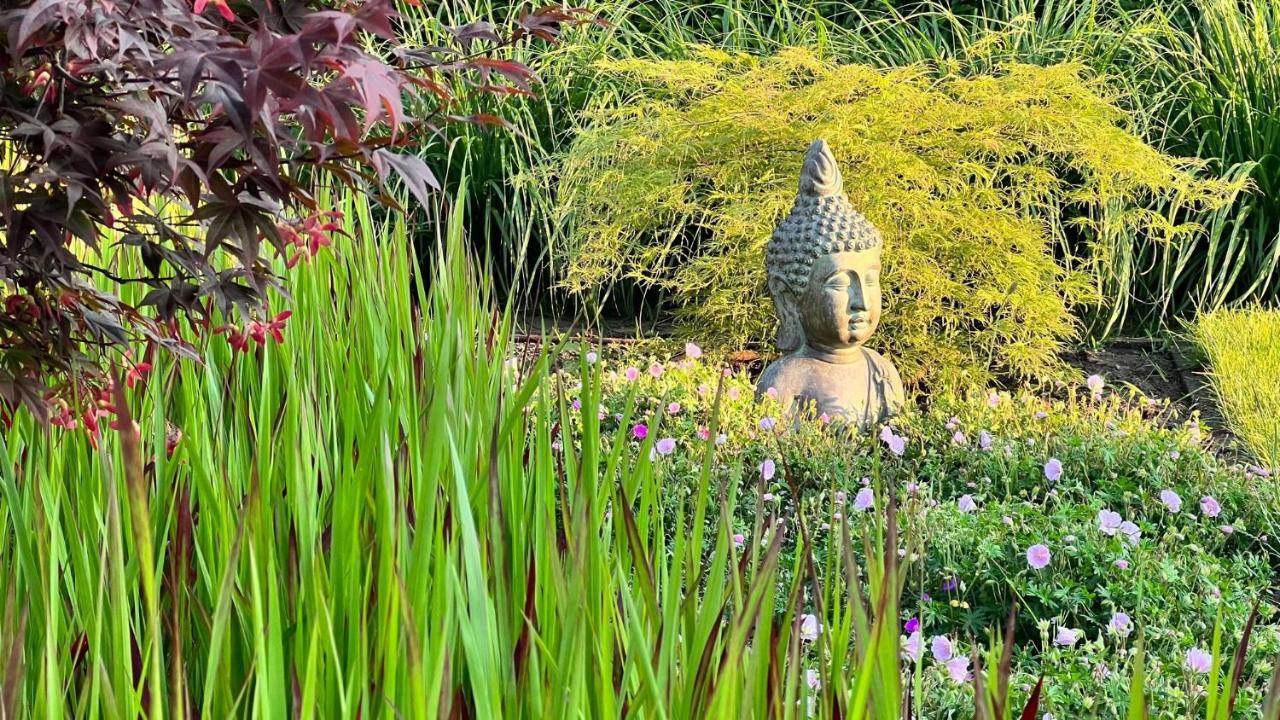 Ikigai B&B - Wellness アウト・トゥルンハウト エクステリア 写真