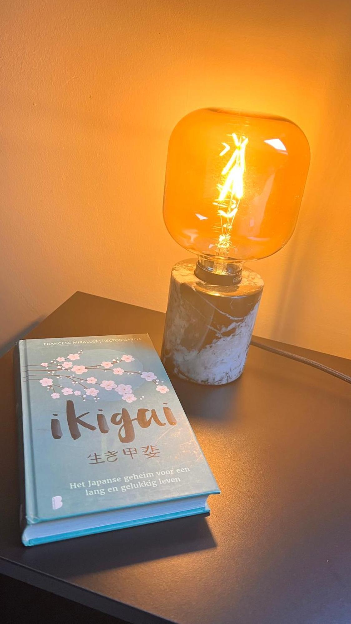 Ikigai B&B - Wellness アウト・トゥルンハウト 部屋 写真