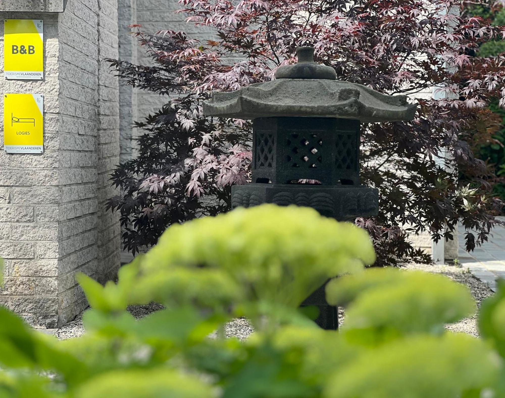 Ikigai B&B - Wellness アウト・トゥルンハウト エクステリア 写真